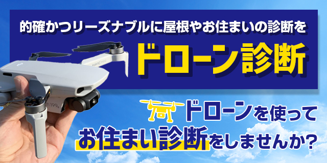 ドローン調査