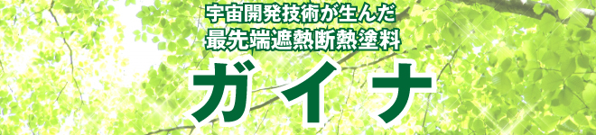 ガイナ詳細