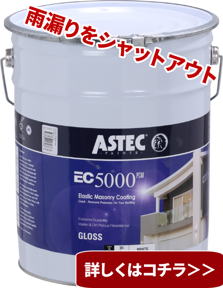 EC-5000PCM透過（大）