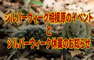 20150915シルバーウィーク相模原のイベントとシルバーウィーク休業のお知らせ